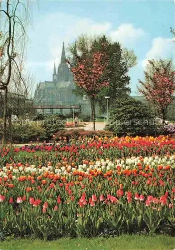BUGA Bundesgartenschau Koeln Blumenrabatten Haupteingang Dom 
