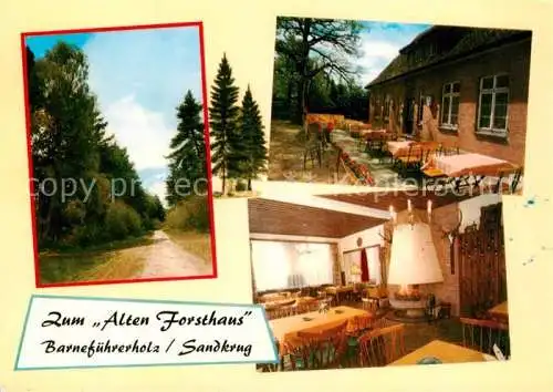 Sandkrug Oldenburg Zum Alten Forsthaus Gaststube Terrasse