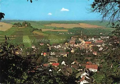 AK / Ansichtskarte Weinsberg HEILBRONN BW an der Weibertreu