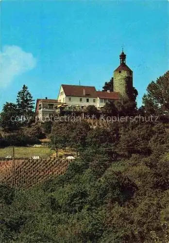 AK / Ansichtskarte Buerg Winnenden Hoehengasthof Terrassencafe Schoene Aussicht