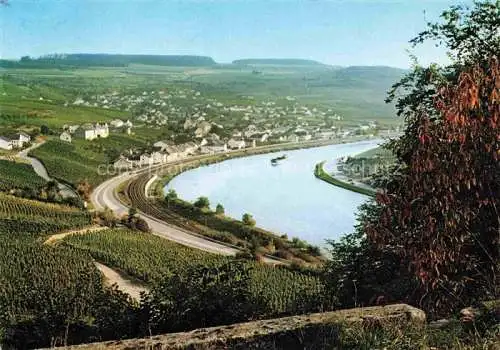 AK / Ansichtskarte Nittel Trier-Saarburg Rheinland-Pfalz Panorama Weinort an der Obermosel