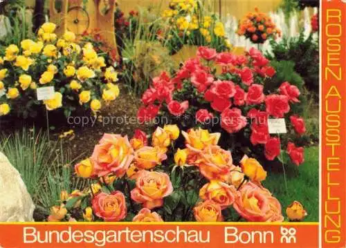 AK / Ansichtskarte BUGA Bundesgartenschau Bonn Rossen Ausstellung 