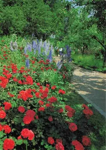 AK / Ansichtskarte BUGA Bundesgartenschau Duesseldorf Rosen Staudengarten 