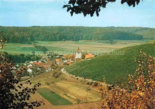 AK / Ansichtskarte Sachsenheim Panorama Haefnerhaslach