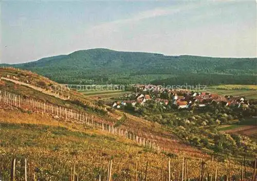 AK / Ansichtskarte Ochsenbach Sachsenheim Weinberg Panorama