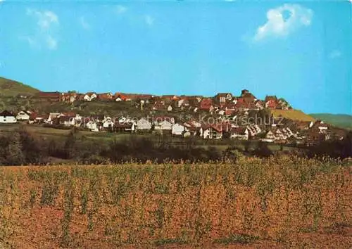 AK / Ansichtskarte Sachsenheim Panorama Hohenhaslach