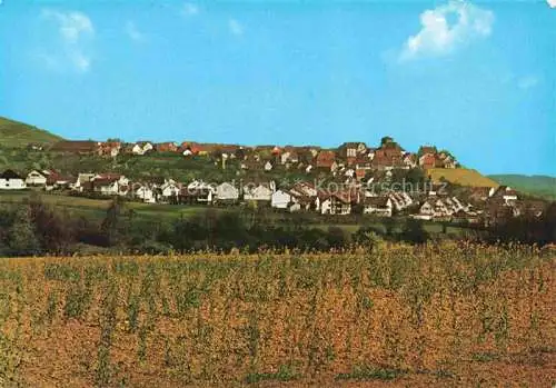 AK / Ansichtskarte Hohenhaslach Panorama