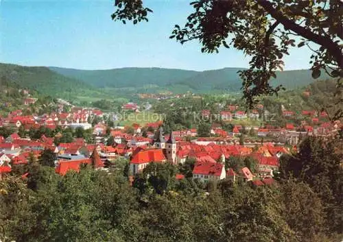 AK / Ansichtskarte Murrhardt Panorama