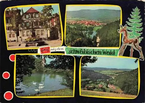 AK / Ansichtskarte Murrhardt Marktplatz Waldsee Fornsbach Feuersee Blick von Sonneneck