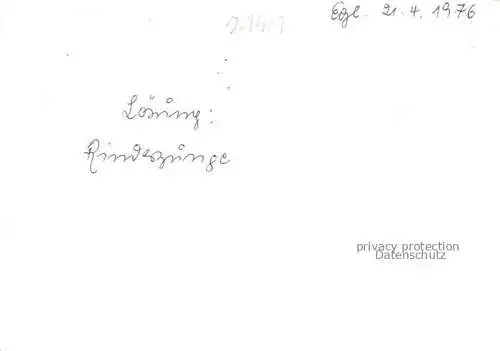 AK / Ansichtskarte Moeglingen Ludwigsburg Rathaus