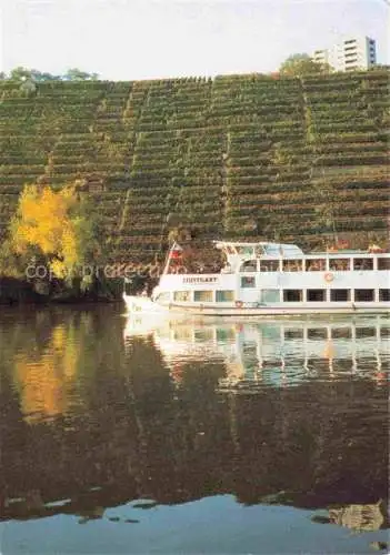 AK / Ansichtskarte Freiberg Neckar Ludwigsburg BW Neckarpartie mit Fahrgastschiff