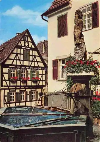 AK / Ansichtskarte Marbach  Neckar Wilder Mann Brunnen mit Schiller Geburtshaus