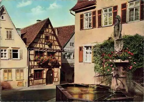 AK / Ansichtskarte Marbach  Neckar Wilder Mann Brunnen mit Schiller Geburtshaus