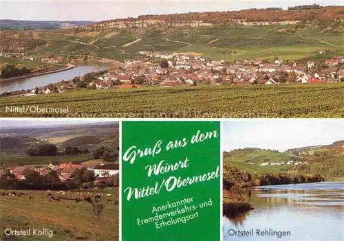 AK / Ansichtskarte Nittel Trier-Saarburg Rheinland-Pfalz Panorama Obermosel OT Koellig OT Rehlingen