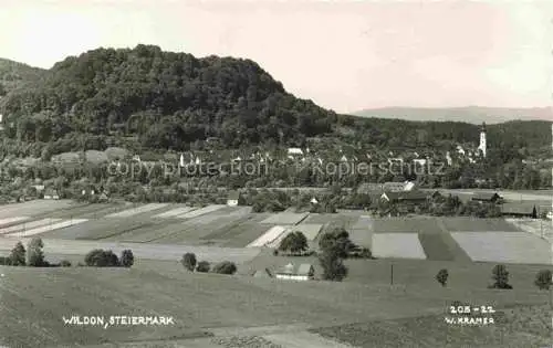AK / Ansichtskarte Wildon Steiermark AT Panorama