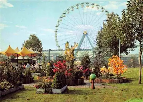AK / Ansichtskarte BUGA Bundesgartenschau Mannheim Herzogen Ried Riesenrad 