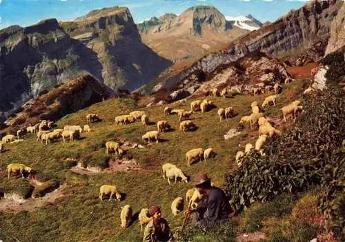 AK / Ansichtskarte Flims GR Auf Alp Mora mit Flimserstein und Piz Dolf