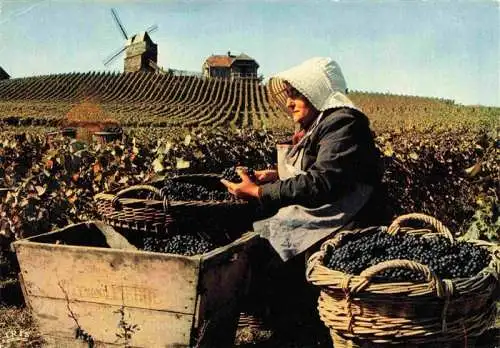 AK / Ansichtskarte Verzenay Moulin Historique Weinberg
