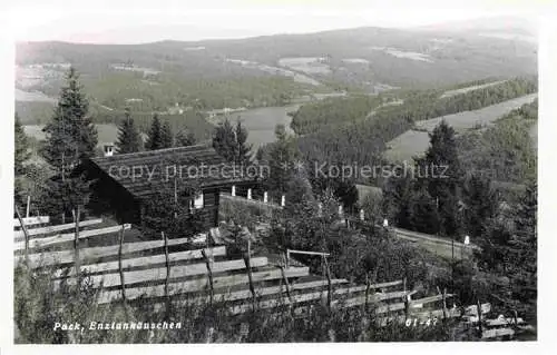 AK / Ansichtskarte Pack Steiermark AT Panorama