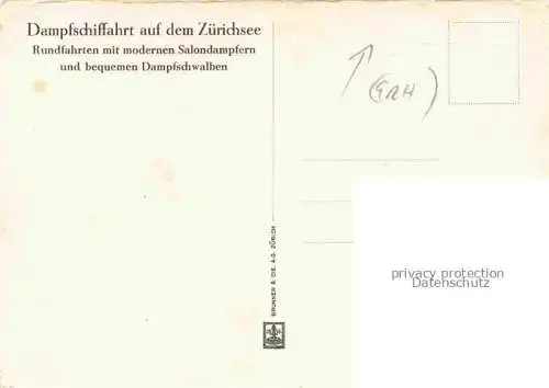 AK / Ansichtskarte Zuerichsee ZH Panoramakarte Dampfschiffahrt
