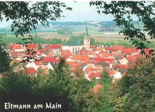 AK / Ansichtskarte Eltmann Ortsansicht
