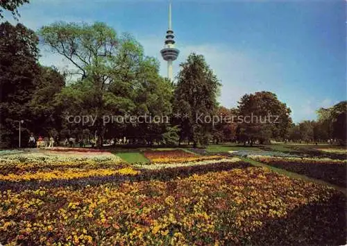 AK / Ansichtskarte BUGA Bundesgartenschau Mannheim Blumenanlage Luisenpark Fernsehturm 