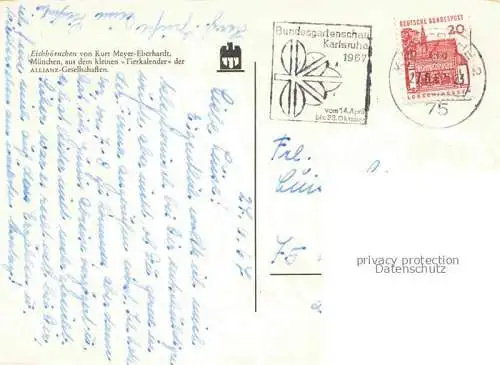 AK / Ansichtskarte BUGA Bundesgartenschau Karlsruhe Eichhoernchen Kurt Meyer Eberhardt Tierkalender 