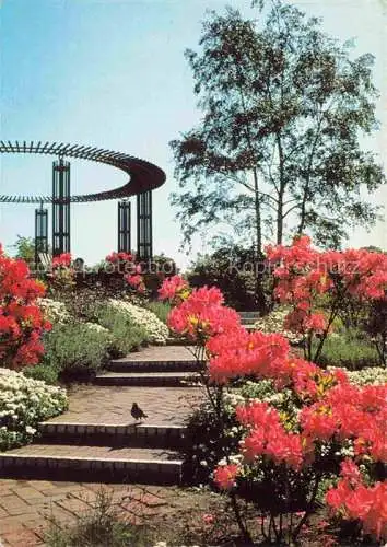 AK / Ansichtskarte PLANTEN UN BLOMEN Ausstellungspark HAMBURG Stufen zur Ritterspornhuegeln