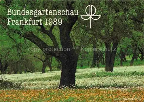 AK / Ansichtskarte BUGA Bundesgartenschau Frankfurt Baum