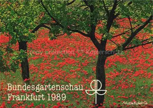 AK / Ansichtskarte BUGA Bundesgartenschau Frankfurt Edition Michel Co 