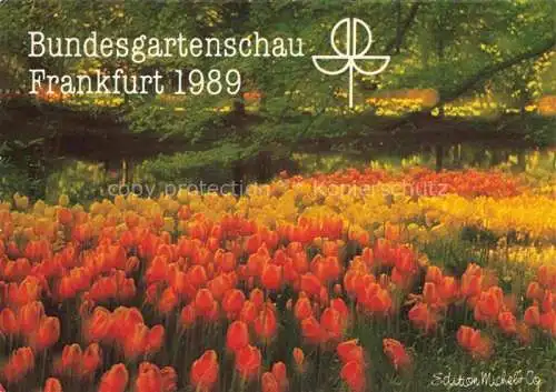 AK / Ansichtskarte BUGA Bundesgartenschau Frankfurt Edition Michel Co