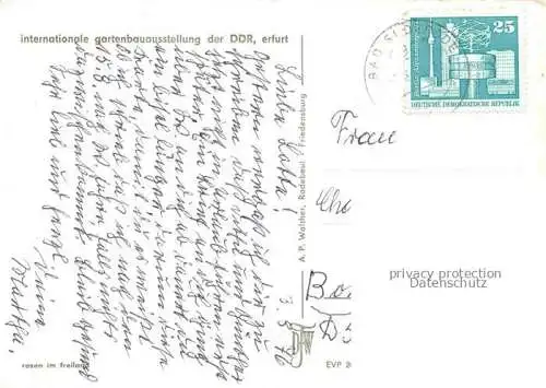 AK / Ansichtskarte IGA Gartenbauaustellung International DDR Erfurt Rosen Freiland 