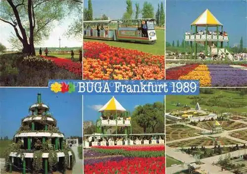 AK / Ansichtskarte BUGA Bundesgartenschau Frankfurt Rosen Kleinbahn