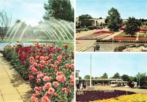 AK / Ansichtskarte IGA Gartenbauaustellung International DDR Erfurt Gelaender Ansichten Rosen