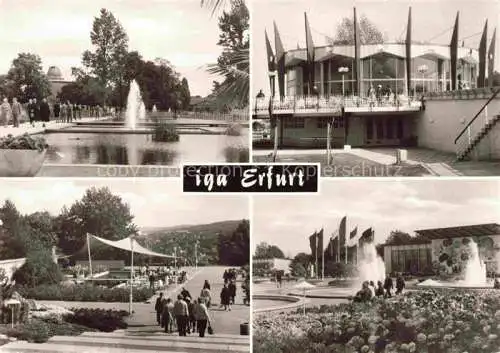 AK / Ansichtskarte IGA Gartenbauaustellung International Erfurt DDR Rosen 