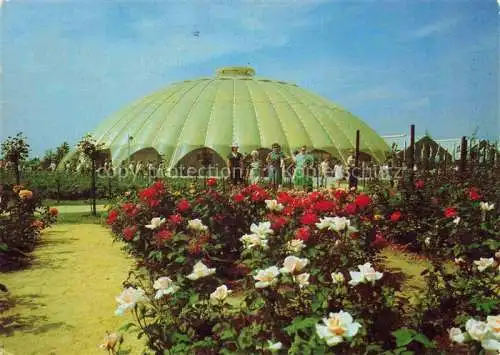 AK / Ansichtskarte BUGA Bundesgartenschau Bonn Kuppelhalle Rosen 