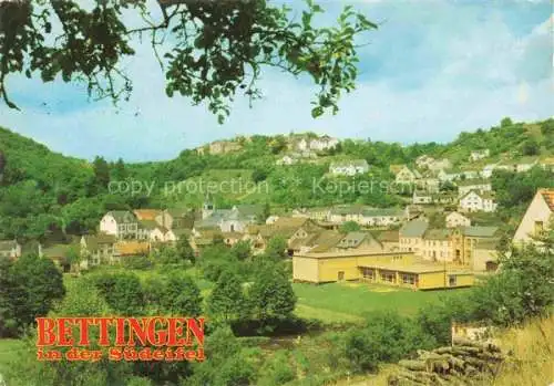 AK / Ansichtskarte Bettingen  Eifel Rheinland-Pfalz Panorama