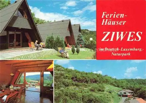 AK / Ansichtskarte Irrel Eifel Ferienhaeuser Hans Ziwes Panorama
