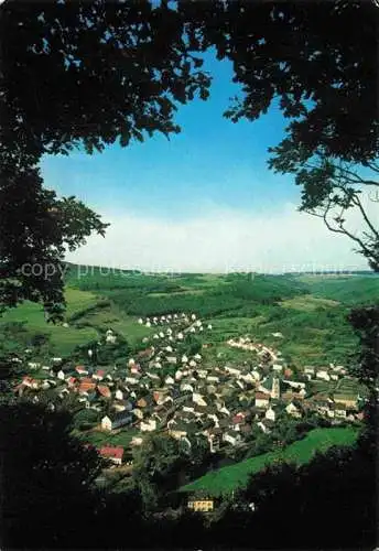 AK / Ansichtskarte Birresborn Vulkaneifel Rheinland-Pfalz Panorama