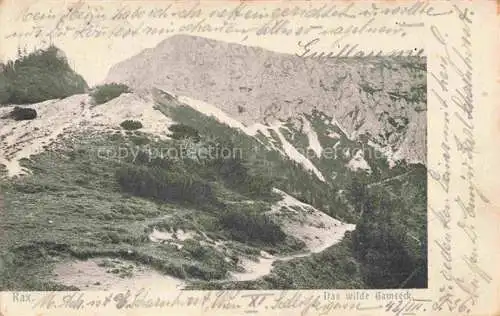 AK / Ansichtskarte Rax 2009m Steiermark AT Panorama Das wilde Gamseck