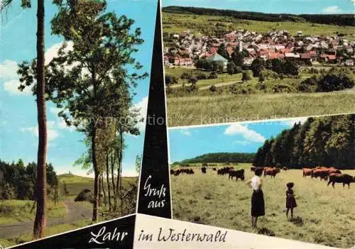 AK / Ansichtskarte Lahr Westerwald Waldbrunn Hessen Panorama Landschaft Viehweide