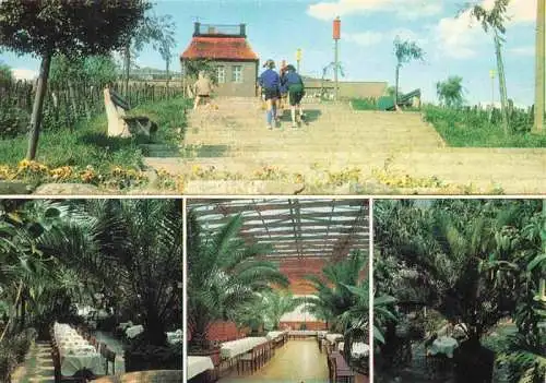 AK / Ansichtskarte ZIELONA GORA Gruenberg PL Palmiarnia w Parku Winnym wnetrza karwiani