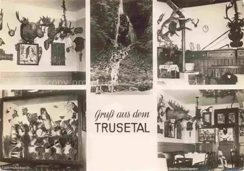 AK / Ansichtskarte Trusetal Schmalkalden-Meiningen Thueringen Jagdzimmer Wasserfall Eichhoernchenkapelle