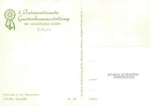 AK / Ansichtskarte IGA Gartenbauaustellung International Erfurt Flamingos Wasserachse 