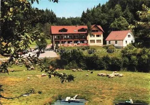 AK / Ansichtskarte Oberlohrgrund Pension Gaststaette Immenhof Schafe