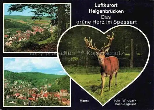 AK / Ansichtskarte Heigenbruecken Panorama Luftkurort im Spessart Wildpark Baechlesgrund Hirsch