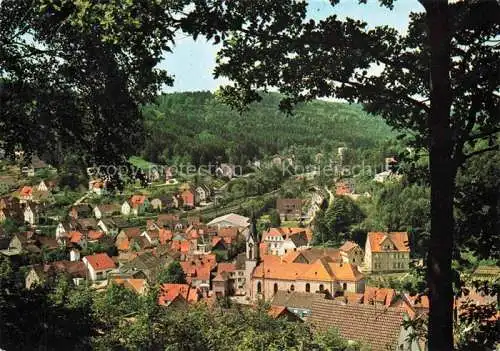 AK / Ansichtskarte Heigenbruecken Teilansicht Luftkurort Naturpark Spessart