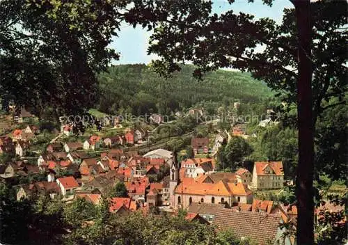 AK / Ansichtskarte Heigenbruecken Teilansicht Luftkurort Naturpark Spessart