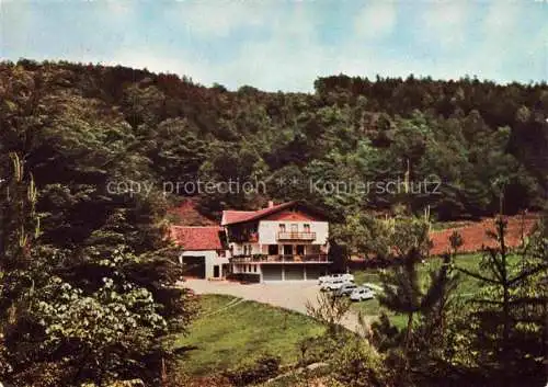 AK / Ansichtskarte Krausenbach Dammbach Aschaffenburg Spessart Gasthaus Pension Heppe