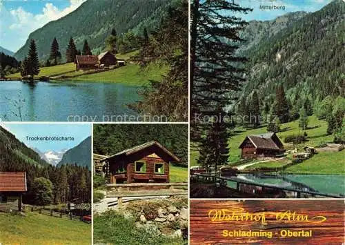 AK / Ansichtskarte Schladming Obersteiermark AT Wehrhof Alm Obertal Trockenbrotscharte